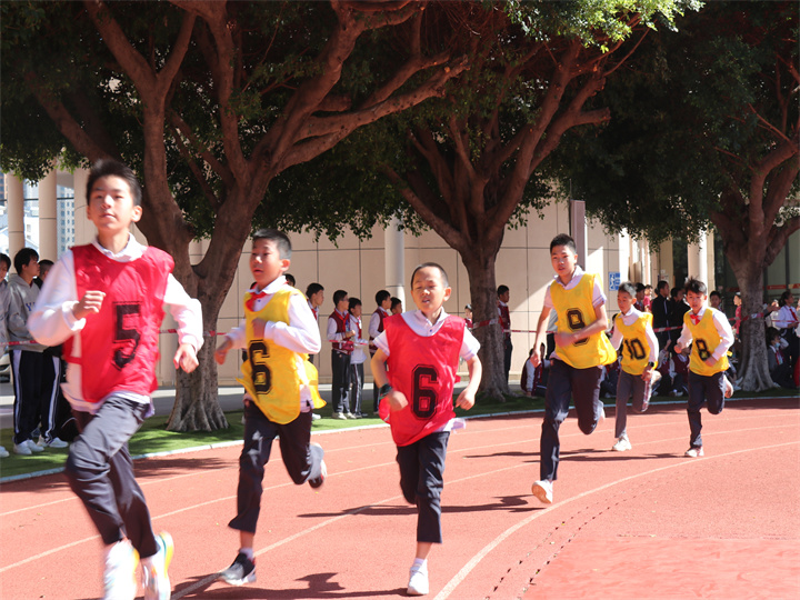 體育節(jié)閉幕 | 專家認(rèn)為：不僅是素質(zhì)教育展演， 更是愛國(guó)教育的大型體驗(yàn)活動(dòng)