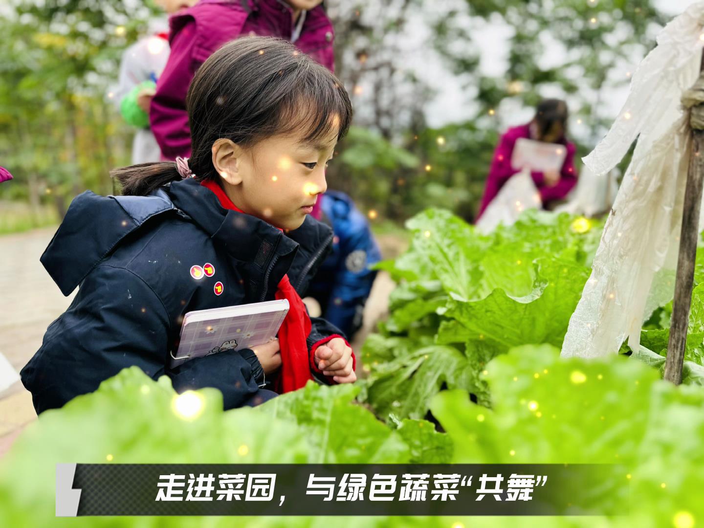 美好學(xué)校|留校時(shí)光，走出教室，與綠色蔬菜共舞