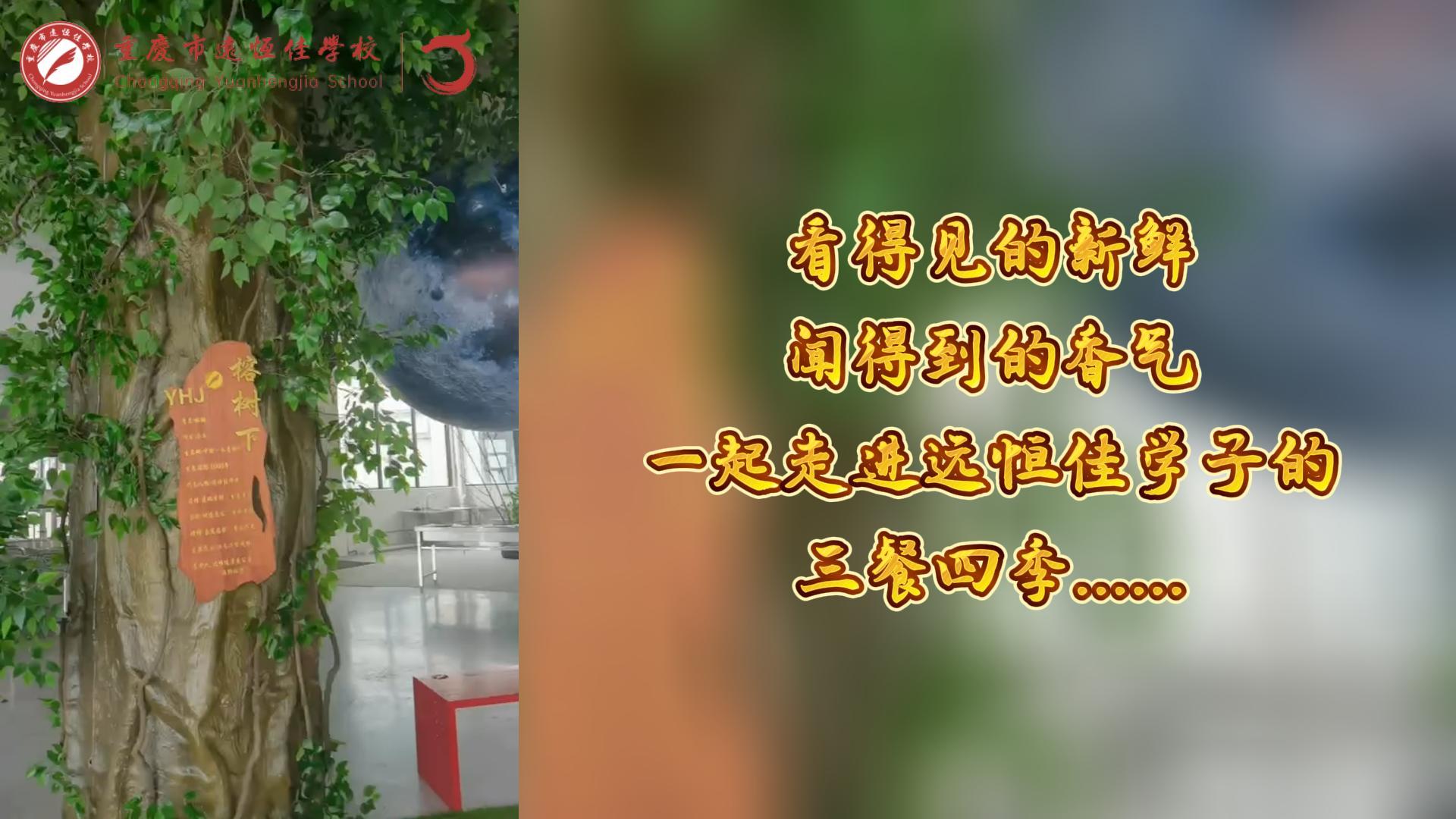 美好學(xué)校|看得見的新鮮，聞得到的香味，一起走進(jìn)遠(yuǎn)恒佳學(xué)子的三餐四季!