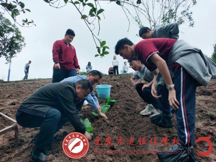 美好教育|寄情于勞動(dòng) 成長于課程———高一年級(jí)健康食育課程之種植篇 美好教育|寄情于勞動(dòng) 成長于課程———高一年級(jí)健康食育課程之種植篇